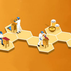 Este curso te descubrirá el fascinante mundo de las abejas, y te motivará para la adquisición de conocimientos sobre apicultura, y el manejo de la colmena