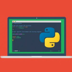 El asistente obtendrá los conocimientos principales para el manejo de la sintaxis del lenguaje Python conociendo los fundamentos principales del mismo.