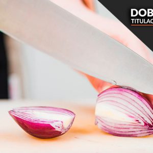 Consigue dos Títulos oficiales. Válido ante la inspección de Sanidad en toda España. Multisectorial para todas las actividades alimentarias. Actualizado con la normativa APPCC, la Ley de Información Alimentaria 2020 y COVID19. Envío completamente gratuito y al instante.