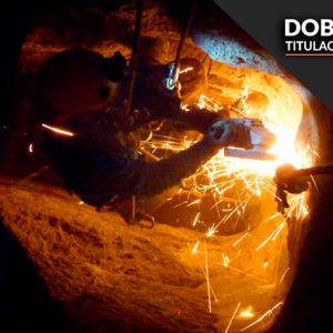 Obtén dos Títulos Oficiales. Actualizado con la normativa COVID-19 (coronavirus) Válido ante la inspección laboral y ETT en toda España Multisectorial para diversas actividades laborales. Envío completamente gratis y al instante.